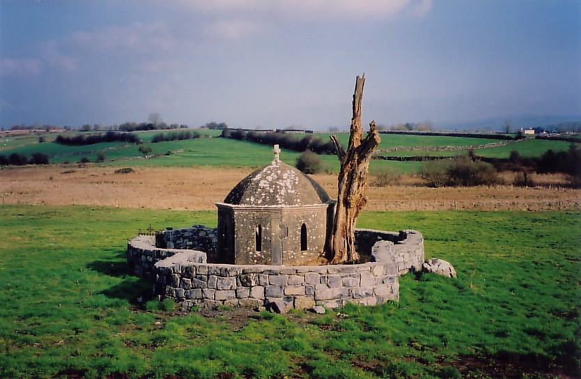 Irish Catholic Saint Colman Mac Duagh image