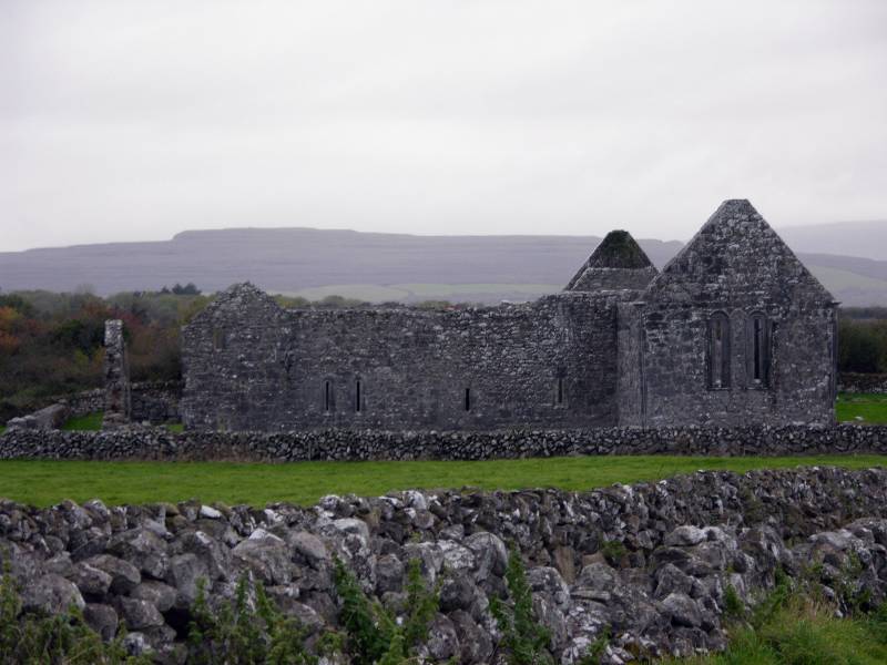 Irish Catholic Saint Colman Mac Duagh image