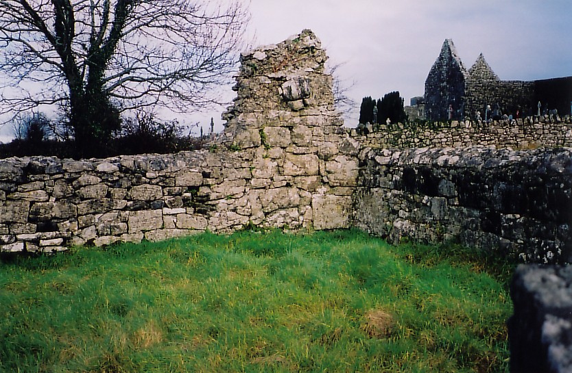 Irish Catholic Saint Colman Mac Duagh image