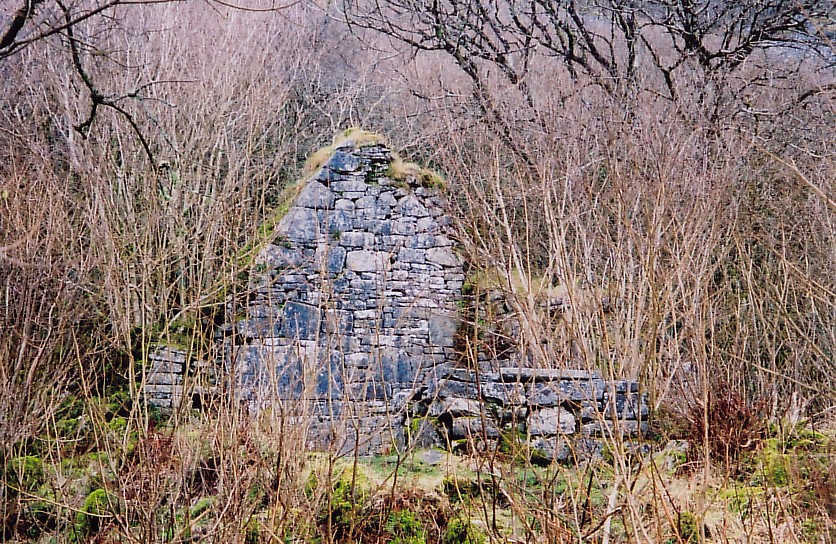 Irish Catholic Saint Colman Mac Duagh image