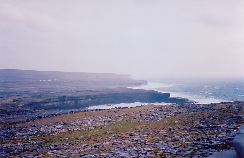 Irish Catholic Saint Colman Mac Duagh image